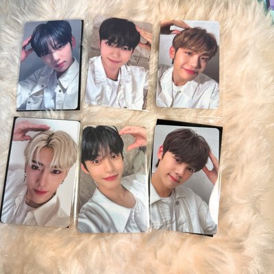 ZB1 WM 幸運卡 狗耳