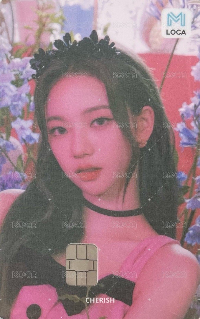 Life’s too short 交通卡 柚 正面