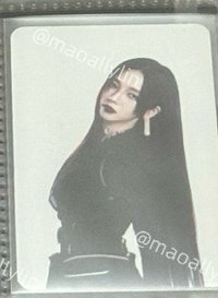 whiplash 隨機卡 官拍柚