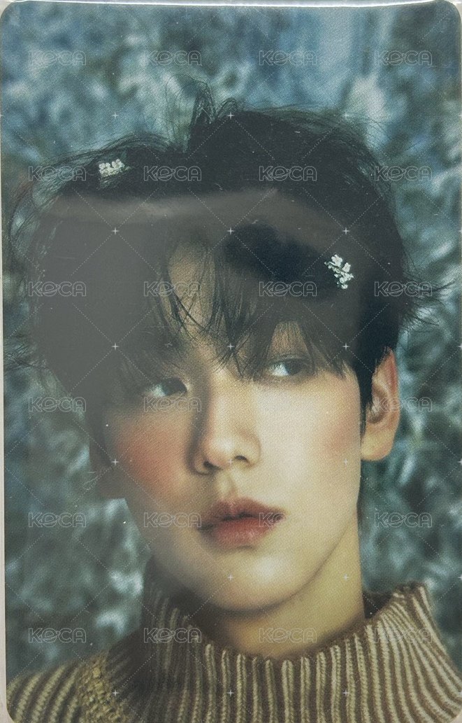 CHIKAI 誓い 日咖 特典卡 彬 正面