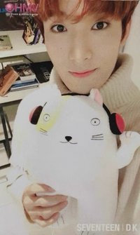 ‘SVT’ hmv 周邊卡 抱娃卡