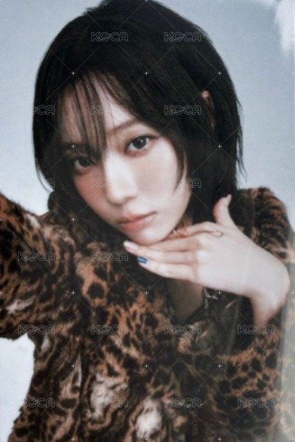 三巡 隨機卡 日巡隨機卡冬 正面