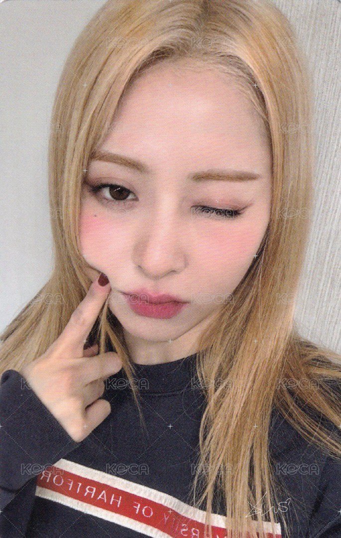 整組 會員禮卡 一期會員早鳥禮 正面