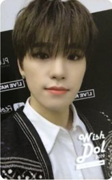 其他 入場卡 / 場限卡 19‘coex冬日慶典限定 wishdol