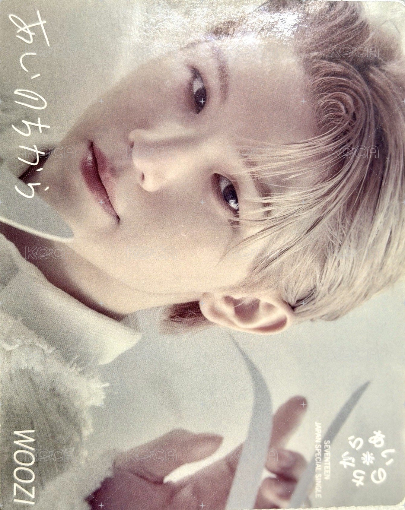 POL 日咖 特典卡 單封特典貼紙 正面