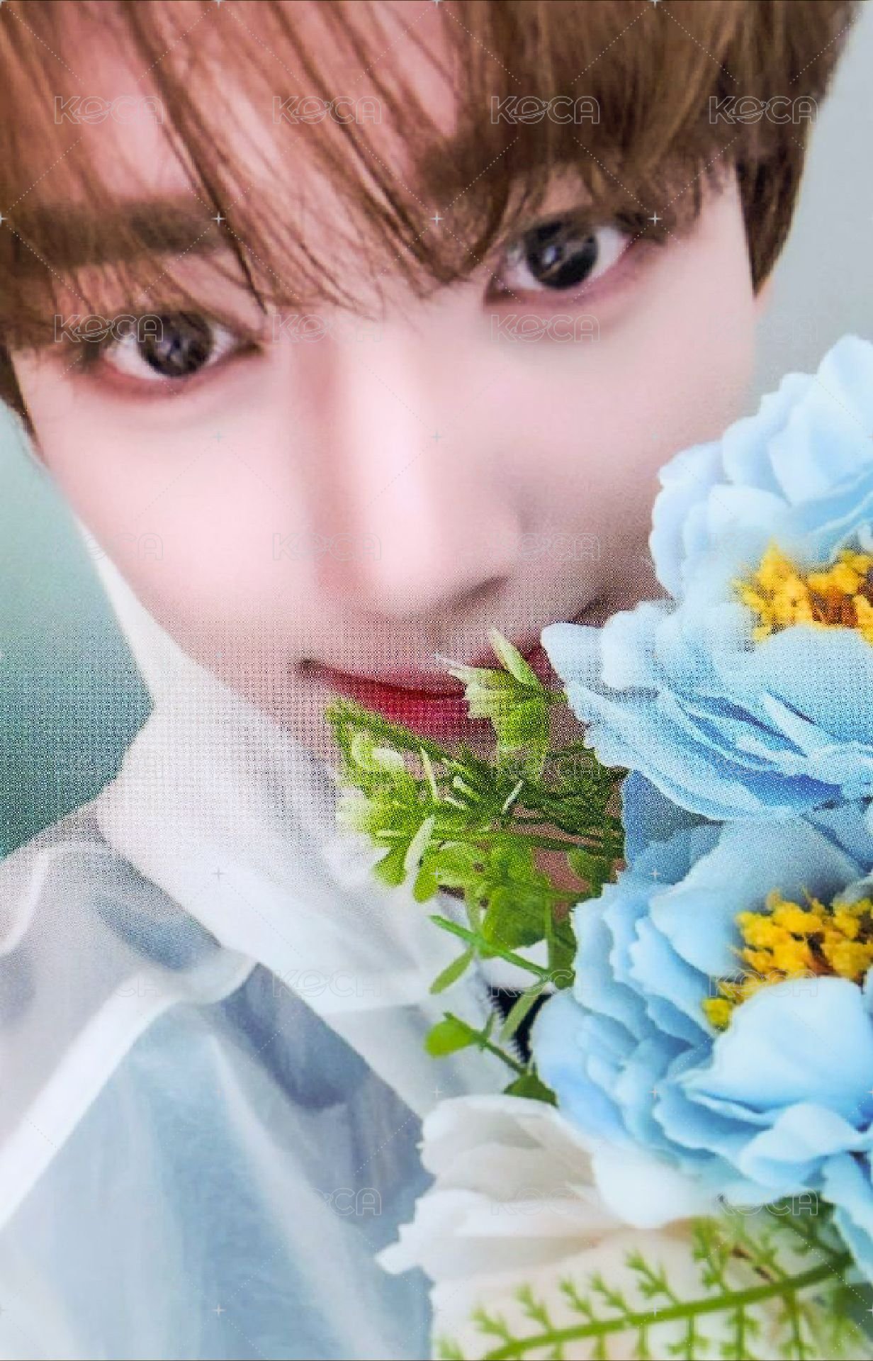 迷四 mp 特典卡 拿花 ver. 正面