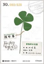 陷入我們的熱戀收藏卡隨機 吾流版 隨機卡 過塑卡（單款限量528張，每張卡背都有專屬編號） 背面