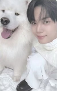 Last Bell wvs 幸運卡 