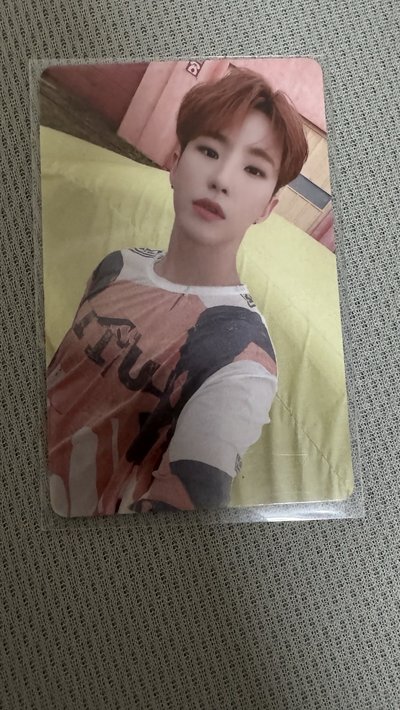 hoshi 語音卡