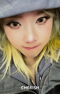 正規一 hl 特典卡 預售冬