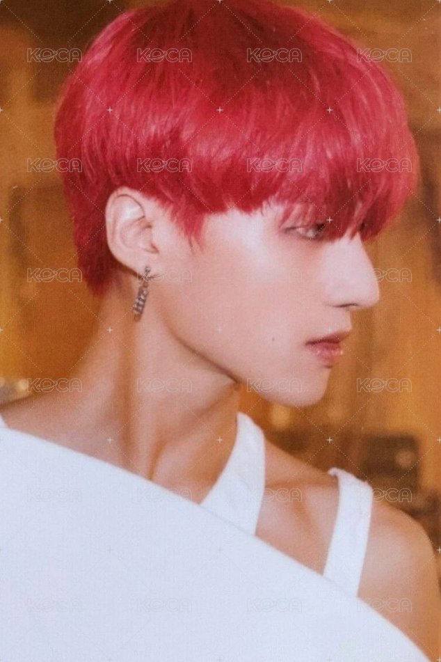 SPIN OFF : FROM THE WITNESS 專輯卡 POCA QR Z ver. 正面