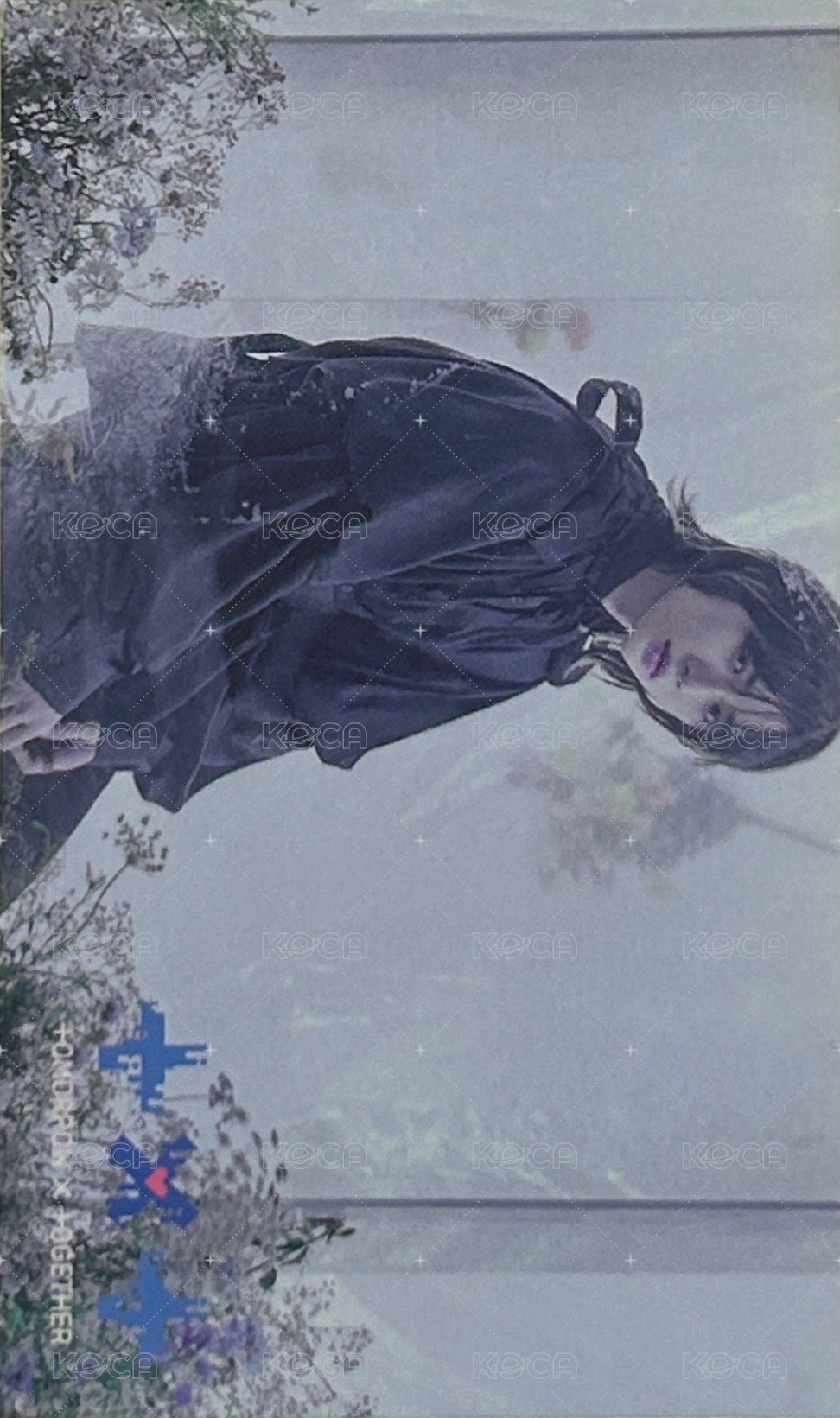 CW 塔店 特典卡  正面