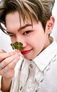 迷二 ju 幸運卡 幸運草 ver.