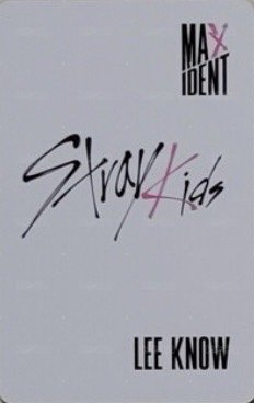 MAXIDENT Lotte Duty Free 樂天 特典卡  背面