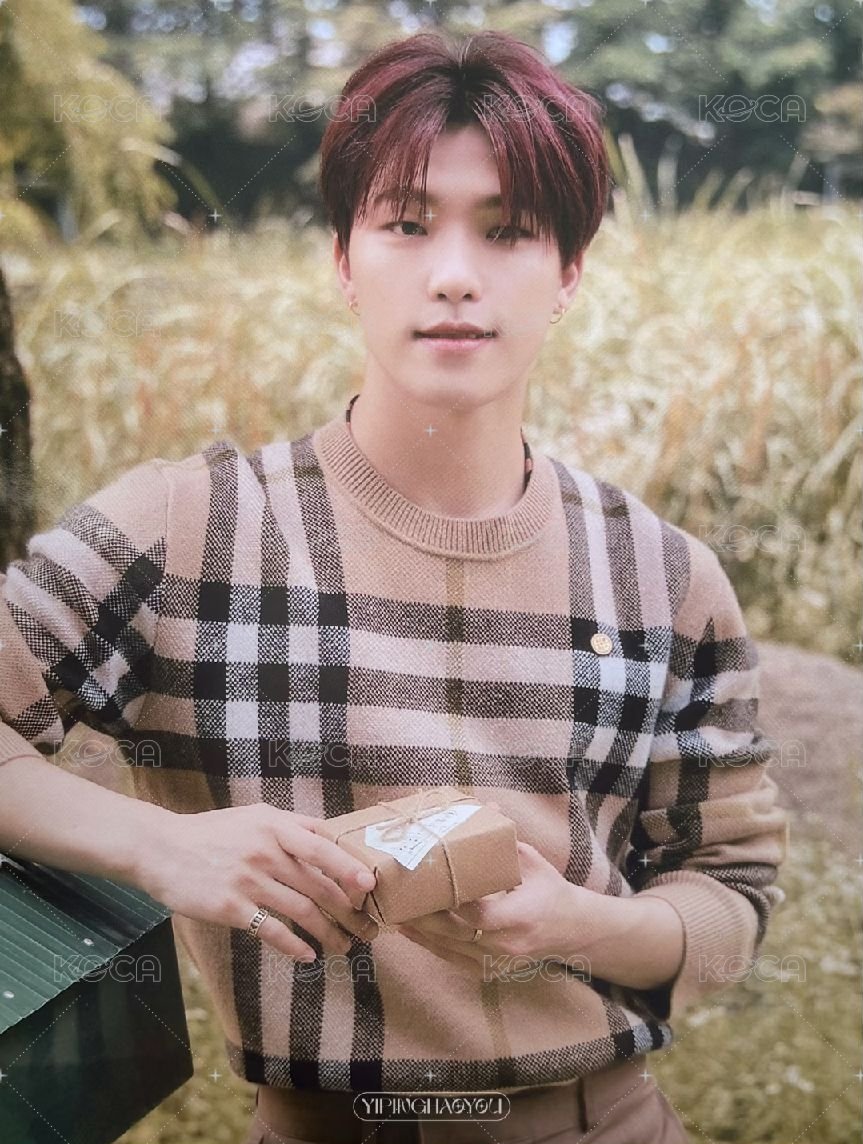 SOCIAL CLUB 明信片 檔案卡 正面