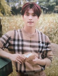 SOCIAL CLUB 明信片 檔案卡