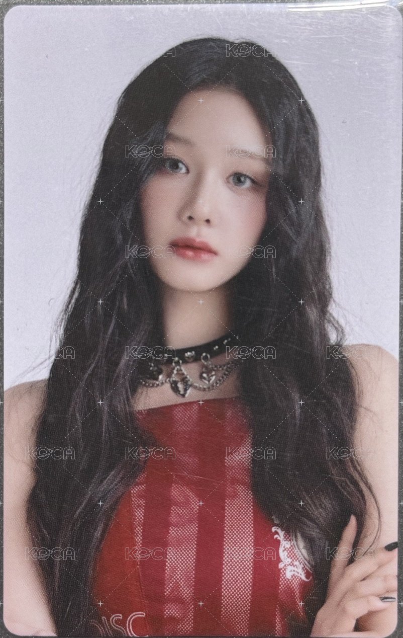 25’世巡 隨機卡 日本場周隨機卡包卡 正面