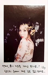 仲夏夜 專輯卡 普版 Forest 拍立得
