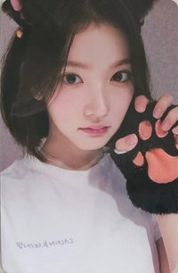 數單一 el 2.0 幸運卡 