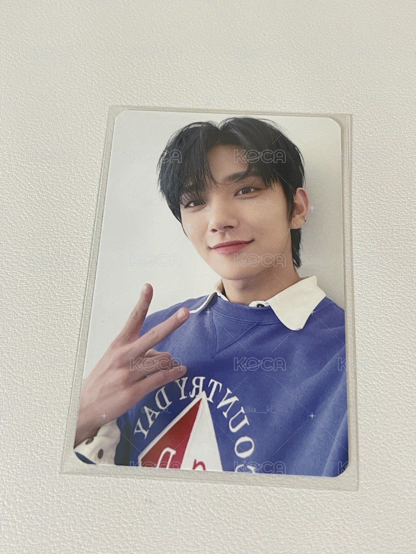 Seventeen 多秀卡