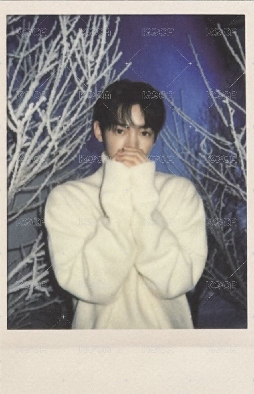 TWS:42 Selection Pack 周邊卡  正面