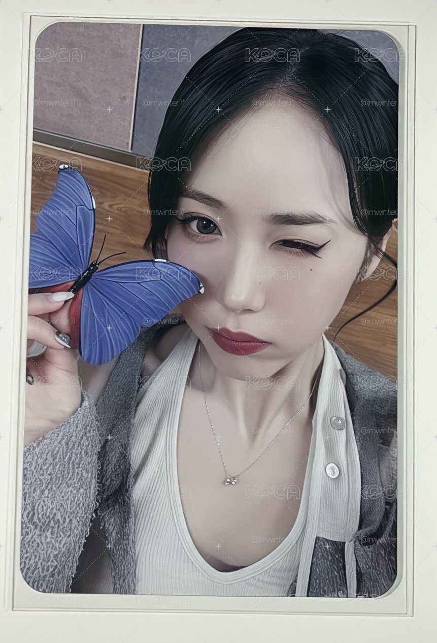 ms蝴蝶飛