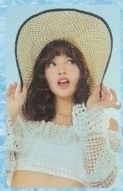 預售禮 散卡區