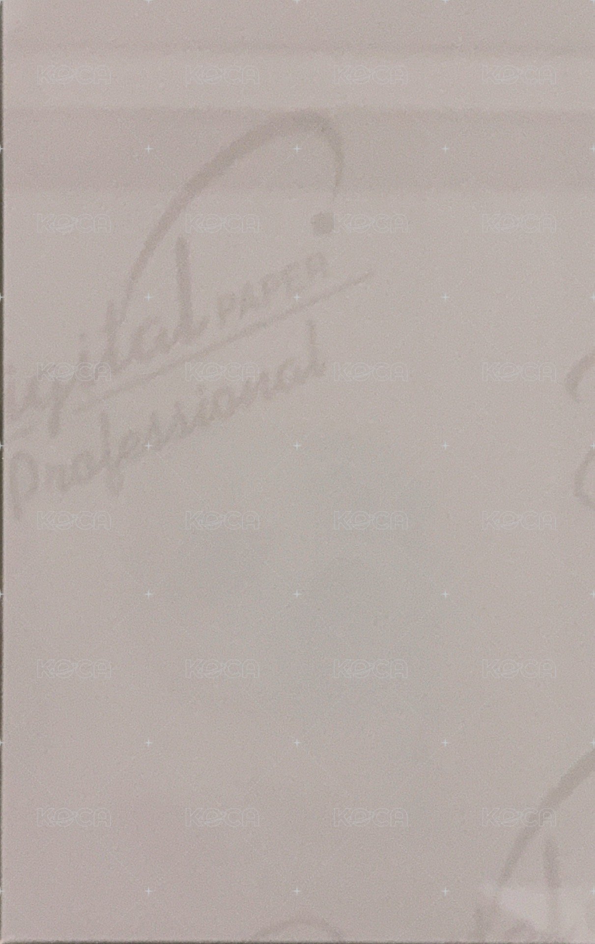 十週年專 ms 玻璃珠版 特典卡  背面