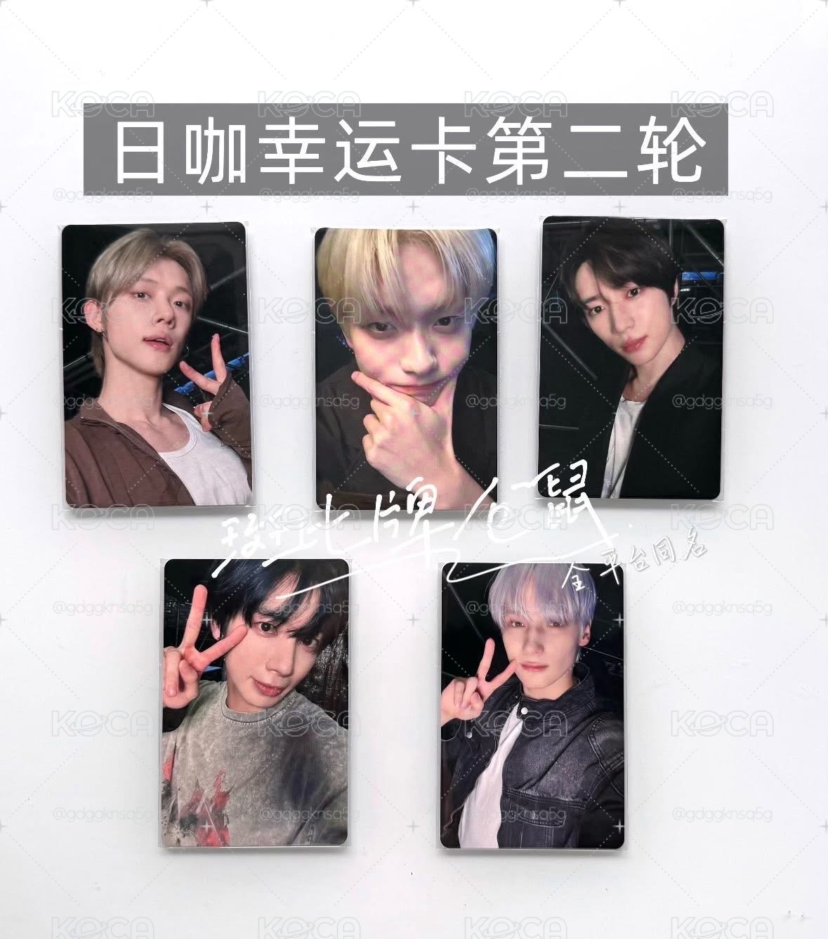 日咖單封圭（含專+特典+幸運卡）