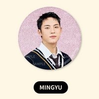 25‘fm holiday 徽章 