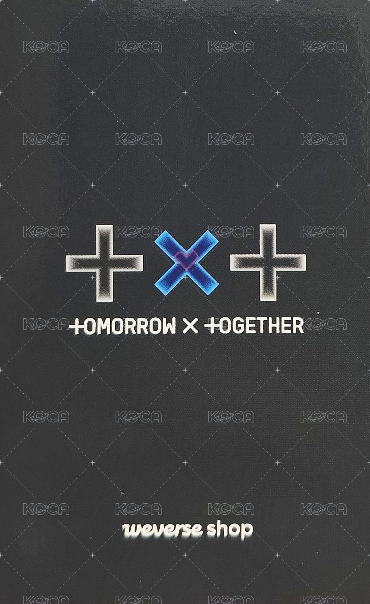 正二 wvs 特典卡  背面