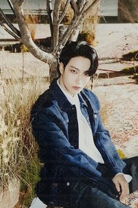 Map the Treasure 明信片 