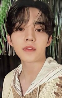 生日禮盒ver.3 周邊卡 HAPPY S.COUPS DAY BIRTHDAY BOX VER.3