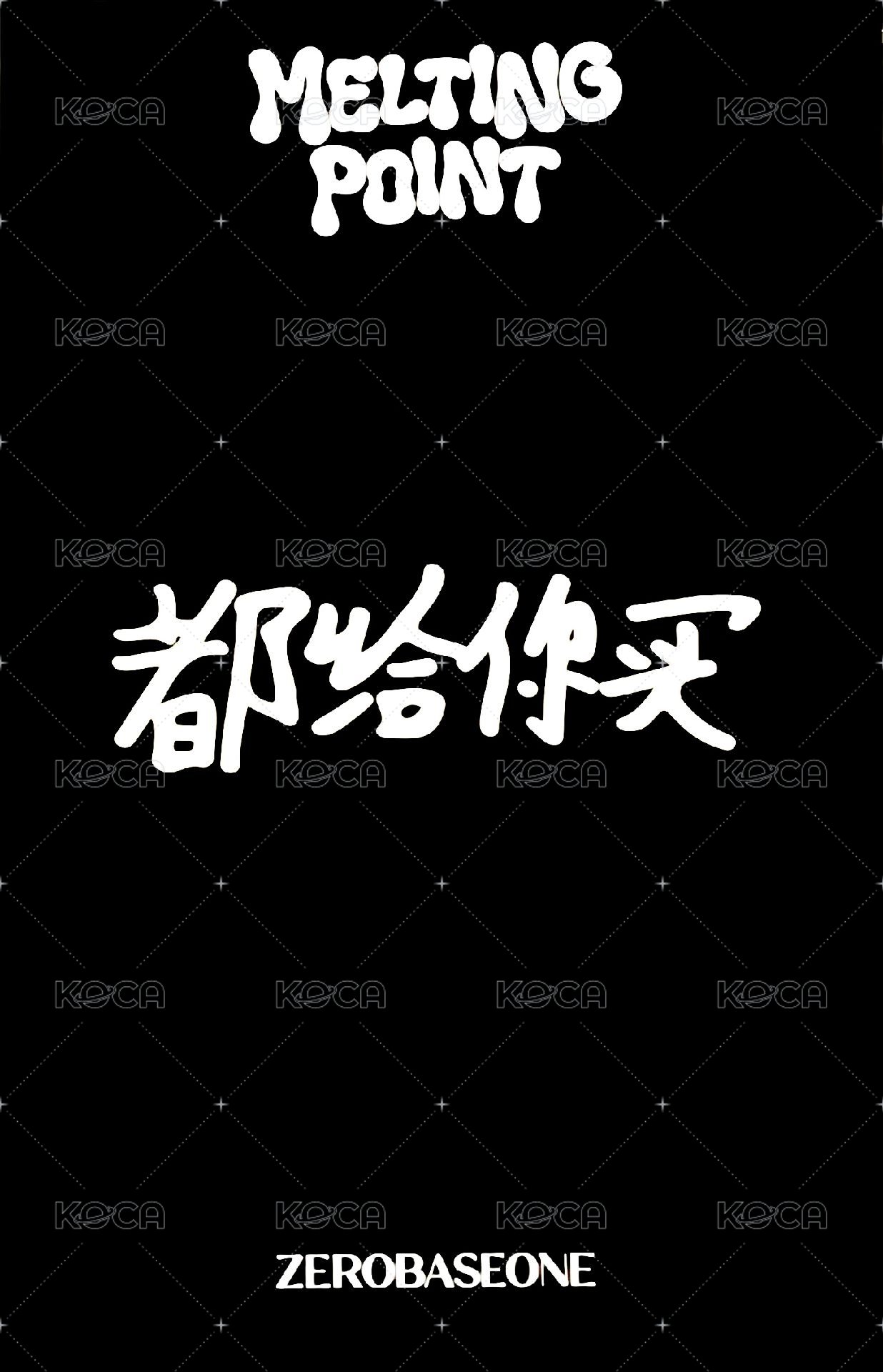 迷二 k4 特典卡 用餐禮儀 ver. 背面