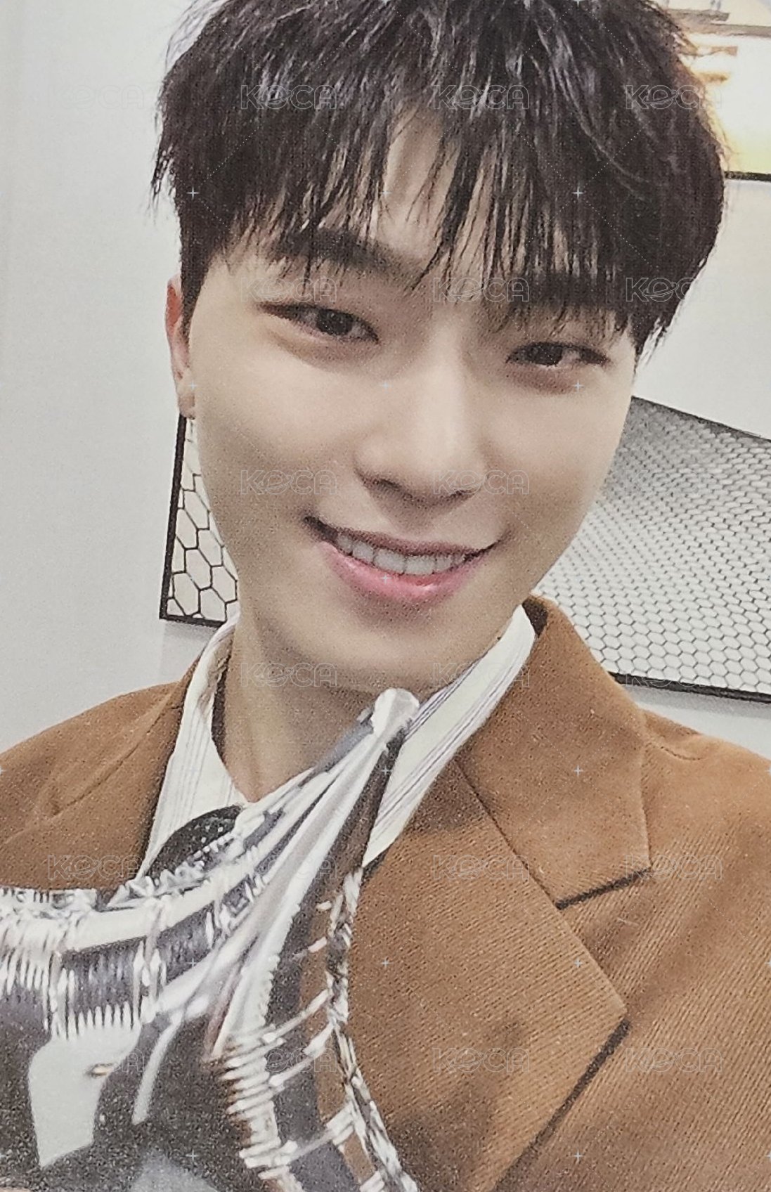 MINI12 專輯卡 迷12克拉盤隨機卡Dino 正面