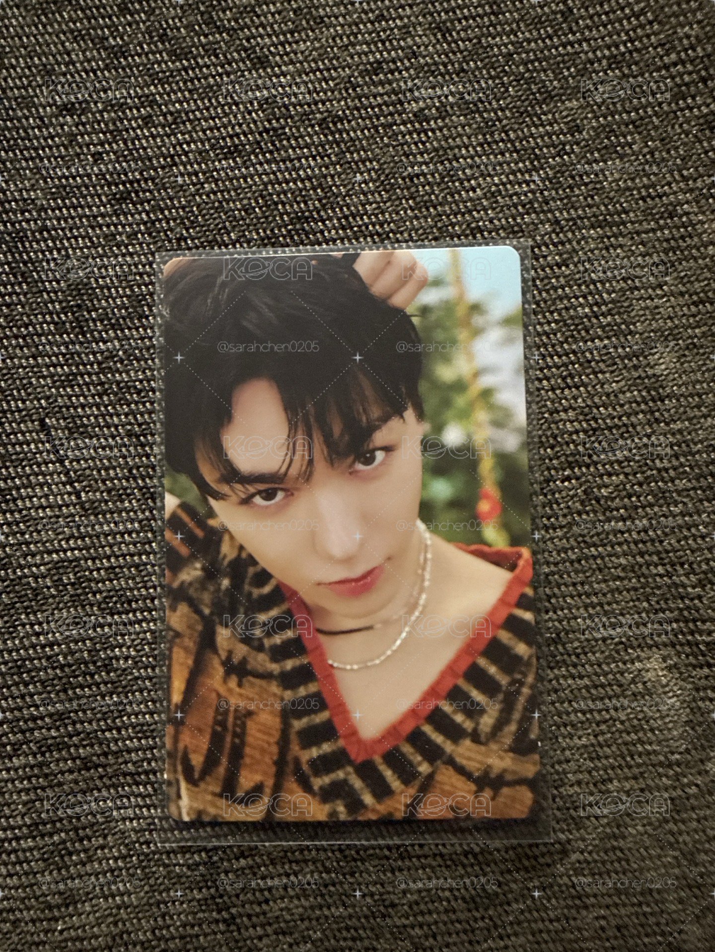 迷11 Vernon
