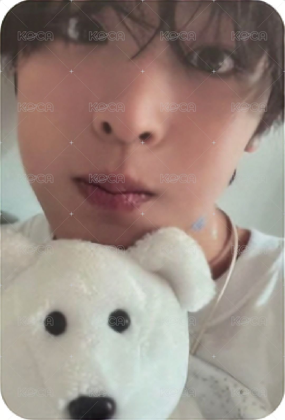 Steady 專輯卡 Nct Wish Riku  白版 專卡 正面