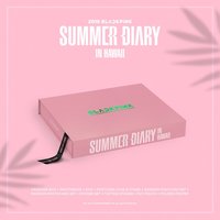 2019夏日日記 DVD 