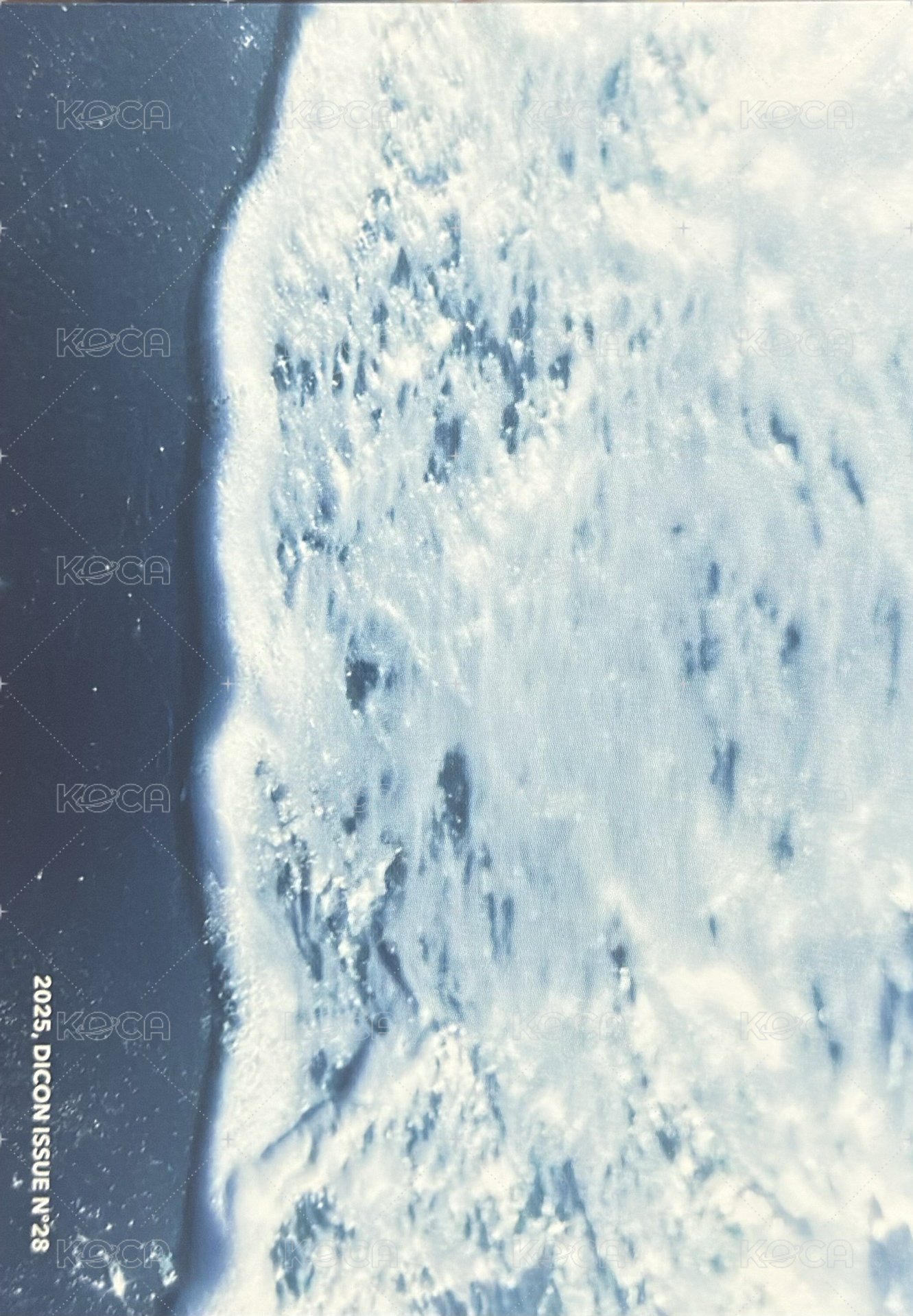 D社 明信片 A-TYPE 背面