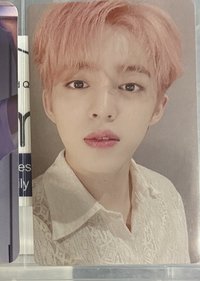 粉髮哲（本體500綁200）