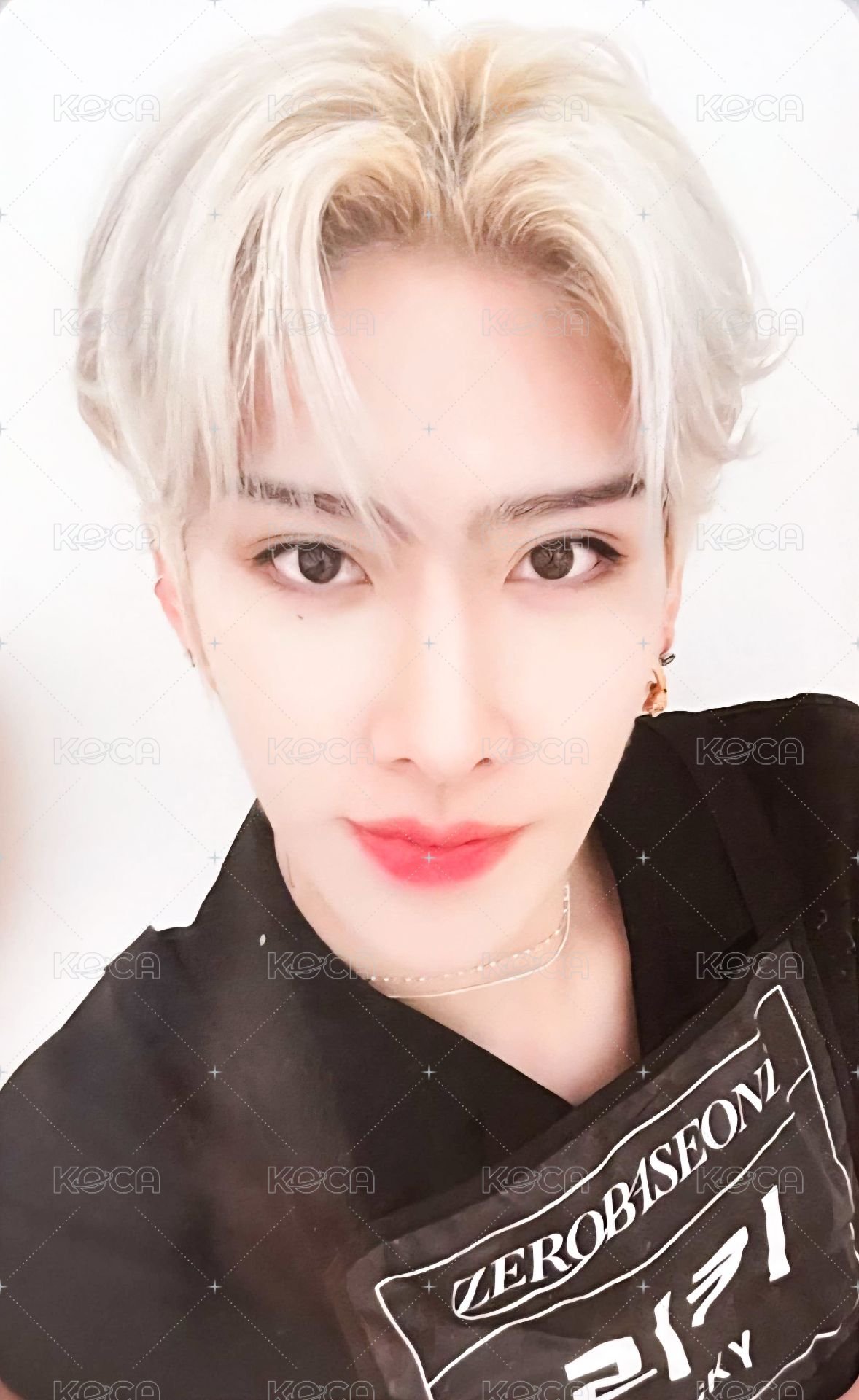 迷二 ms 特典卡 姓名牌 ver. 正面