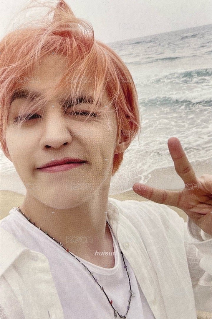 MINI12 專輯卡 ｜WVS電子專 ver. 正面