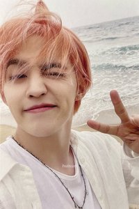 MINI12 專輯卡 ｜WVS電子專 ver.