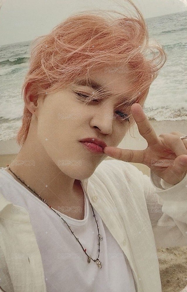 MINI12 knpops 簽售卡  正面