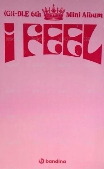 I feel Bandina 幸運卡  背面