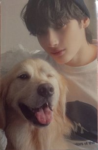 迷七 隨機卡 迷七快閃卡套卡