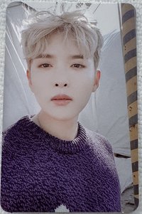 正規9 專輯卡 