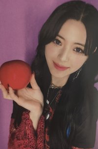 RINGO 專輯卡 通常盤