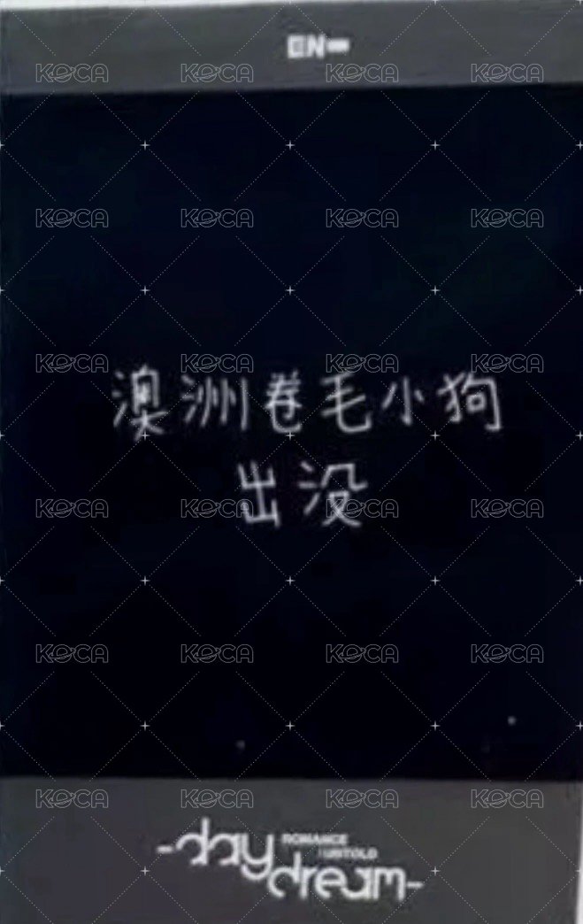 正二後續 yzy 簽售卡 復刻拍立得 背面