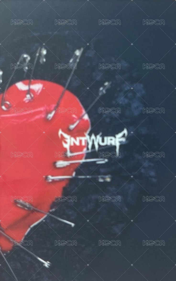 ENTWURF 專輯卡 限量版 變化卡 背面